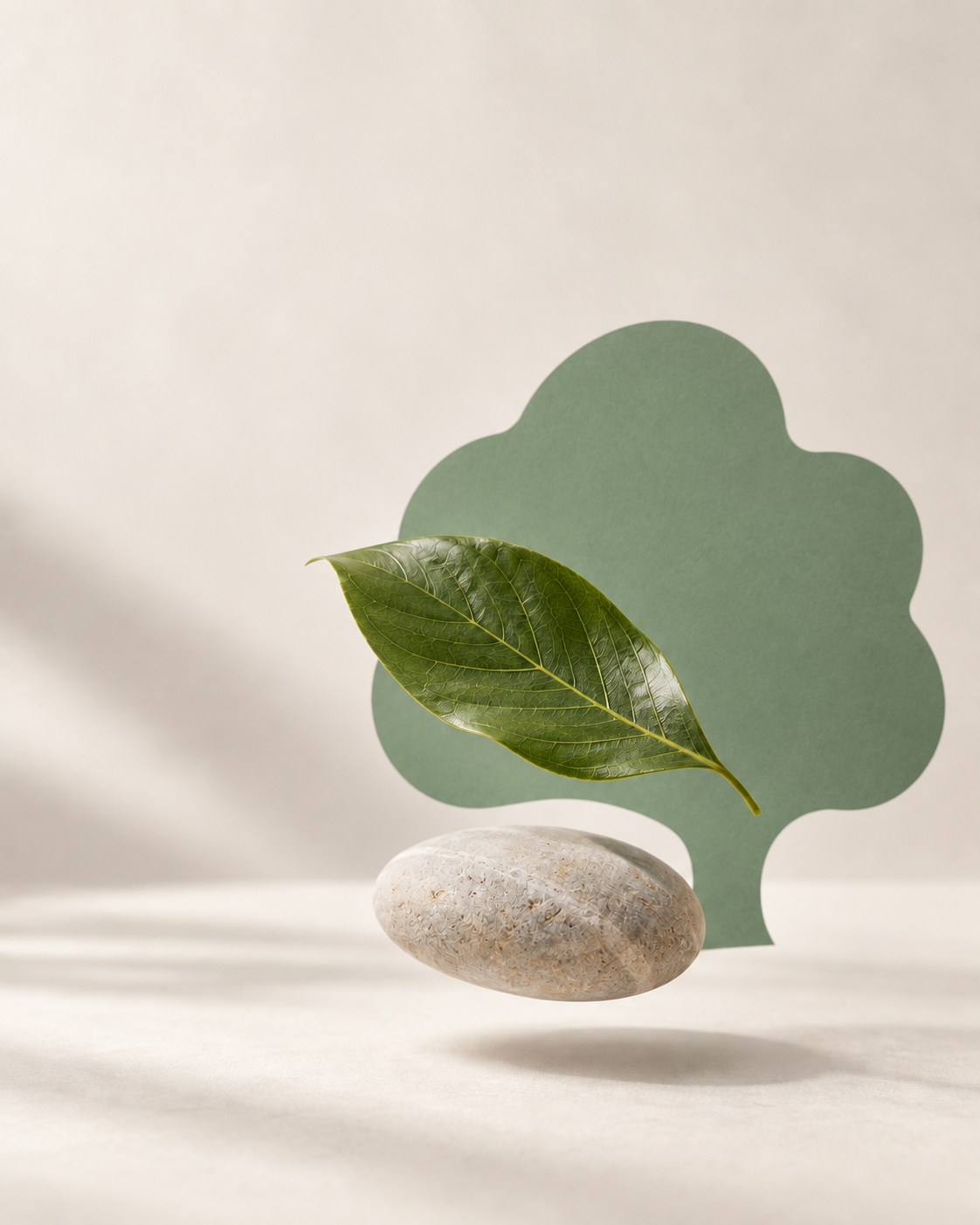 Leaf and stone for the In nature section